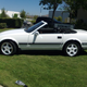 Image for article titled For $3,999, This Is Sparta ZX!
